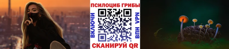 Галлюциногенные грибы Magic Shrooms  купить наркоту  Горняк 